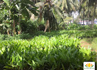 Kamalam Green Fields